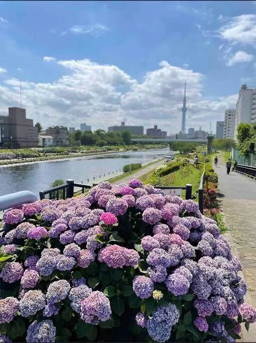 Jing Space: Convenient Urban Stay Near Airport Tokyo