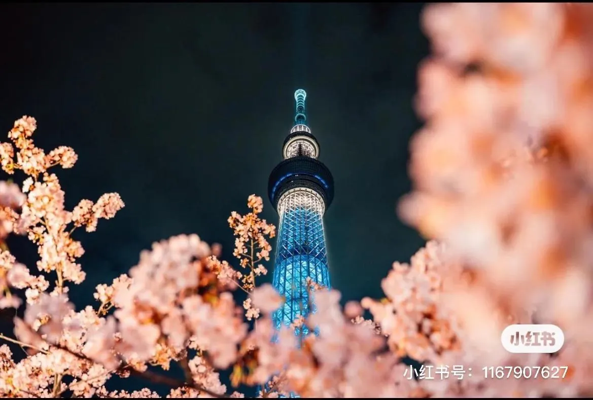 Jing Space: Convenient Urban Stay Near Airport Tokyo 0*,  Japan